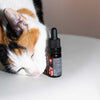 SWISS FX The Cat CBD Oil with 3% CBD & Salmon Oil